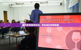 国内教育辅导机构，学生成长的助推器