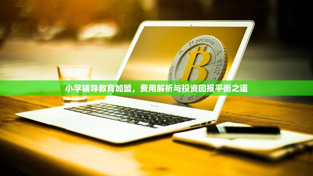 小学辅导教育加盟，费用解析与投资回报平衡之道-第1张图片-畅过网