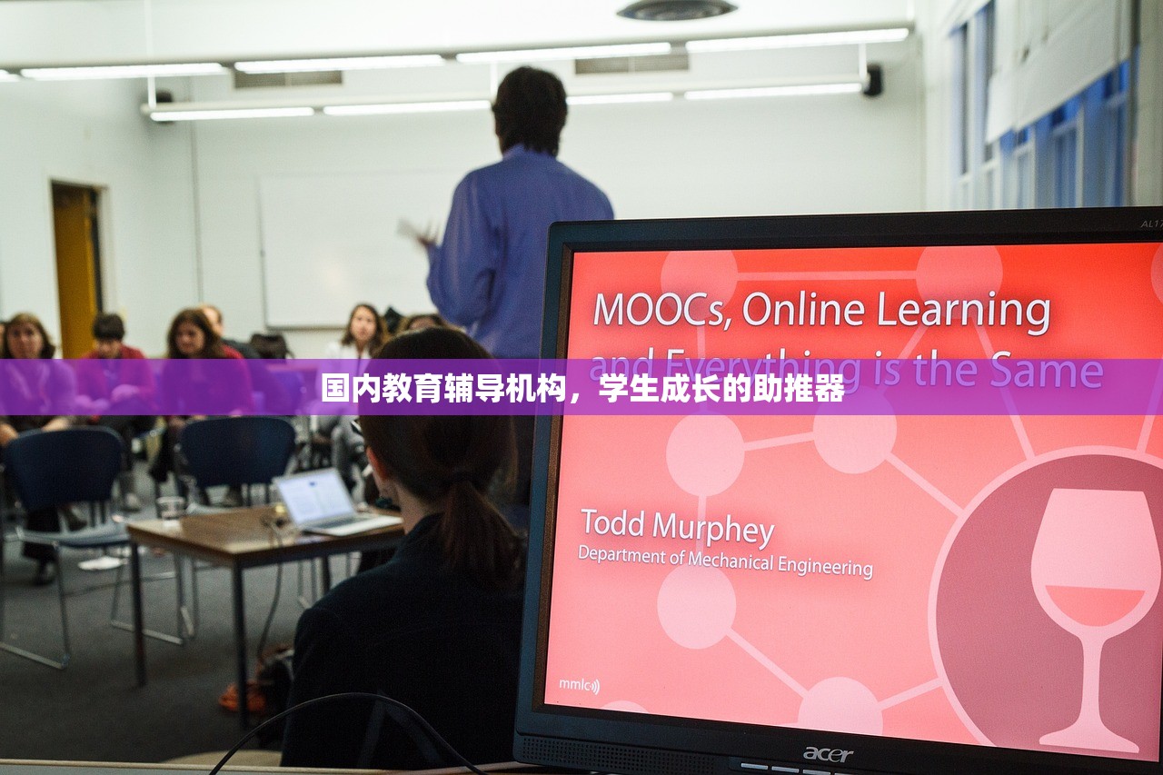国内教育辅导机构，学生成长的助推器-第1张图片-畅过网