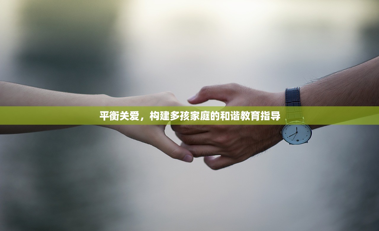 平衡关爱，构建多孩家庭的和谐教育指导