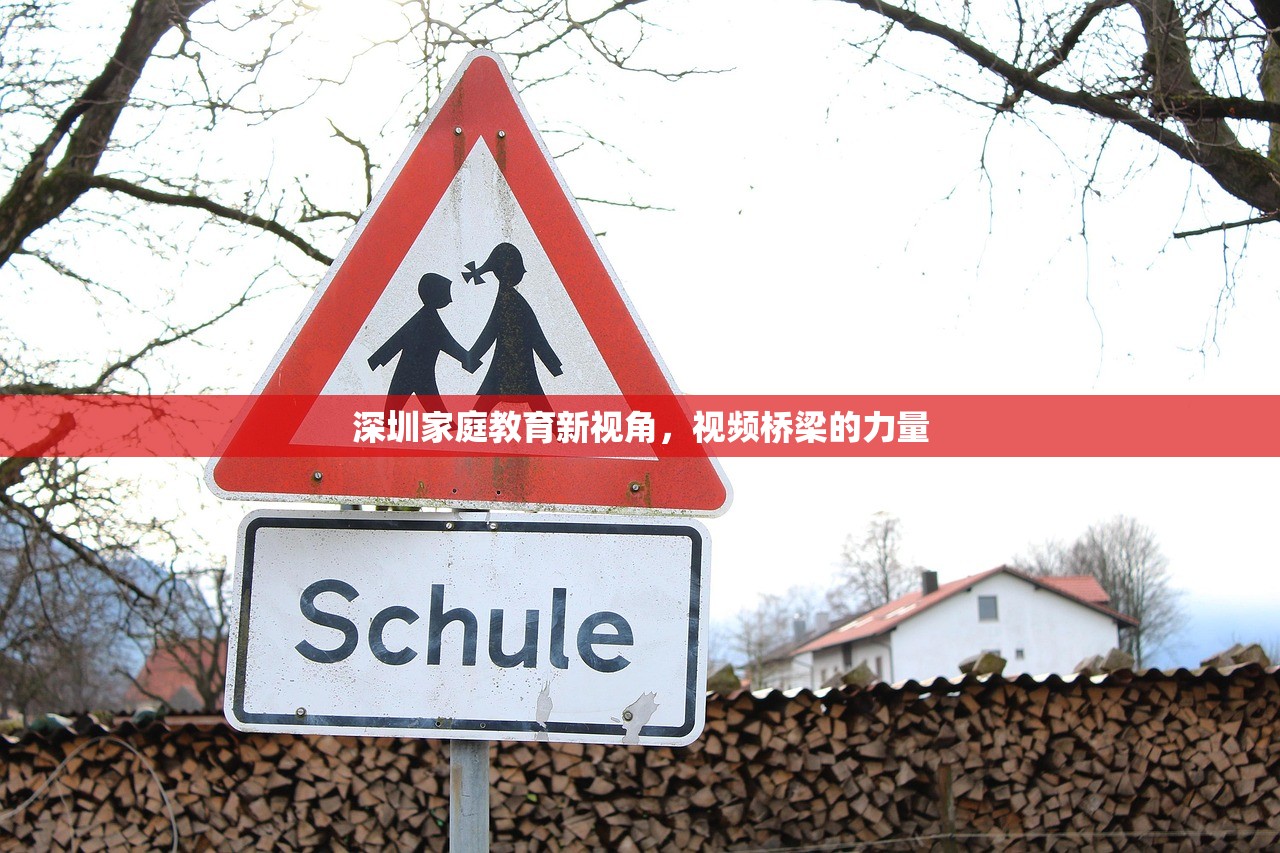 深圳家庭教育新视角，视频桥梁的力量