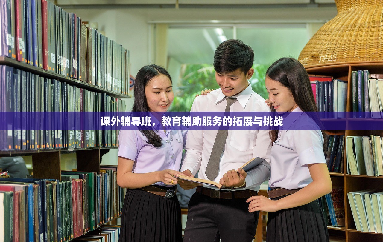 课外辅导班，教育辅助服务的拓展与挑战