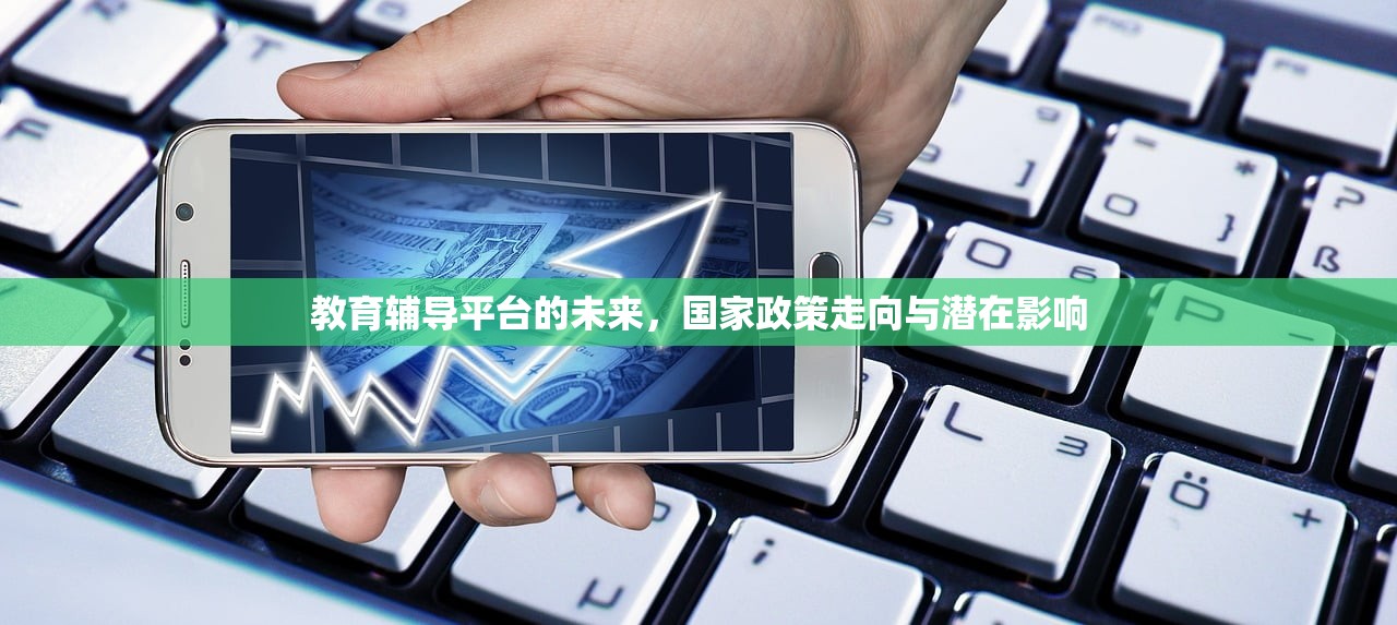 教育辅导平台的未来，国家政策走向与潜在影响
