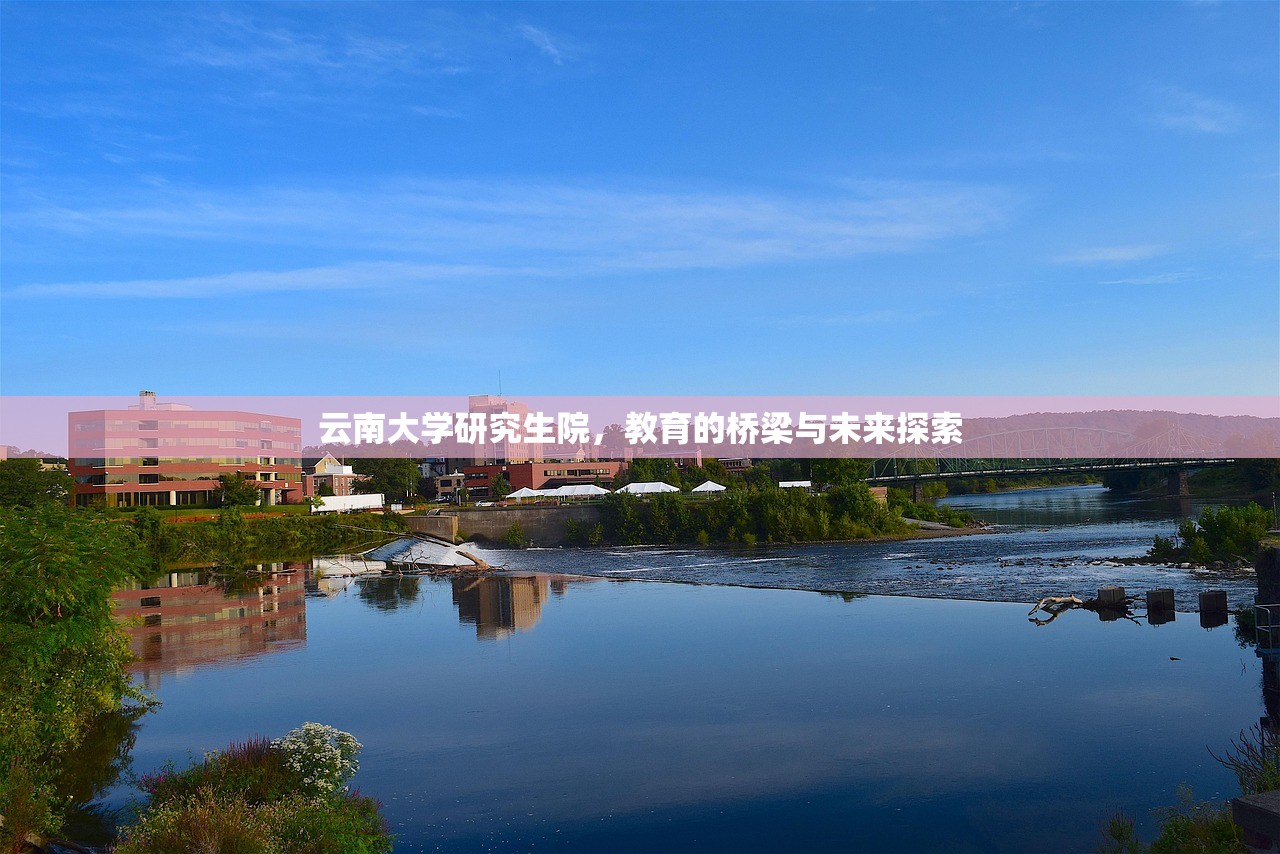 树人教育研究院，塑造未来领袖的教育革新之旅