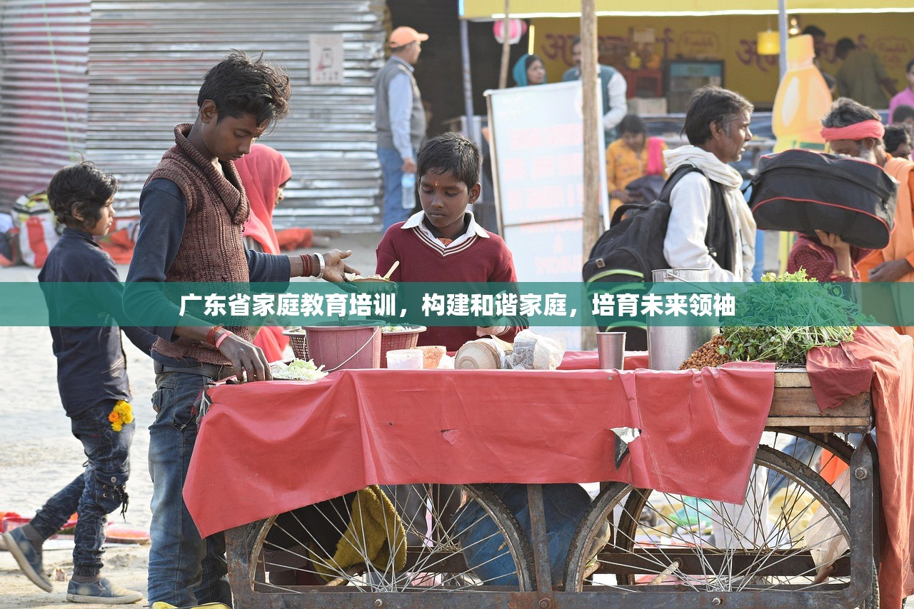 广东省家庭教育培训，构建和谐家庭，培育未来领袖