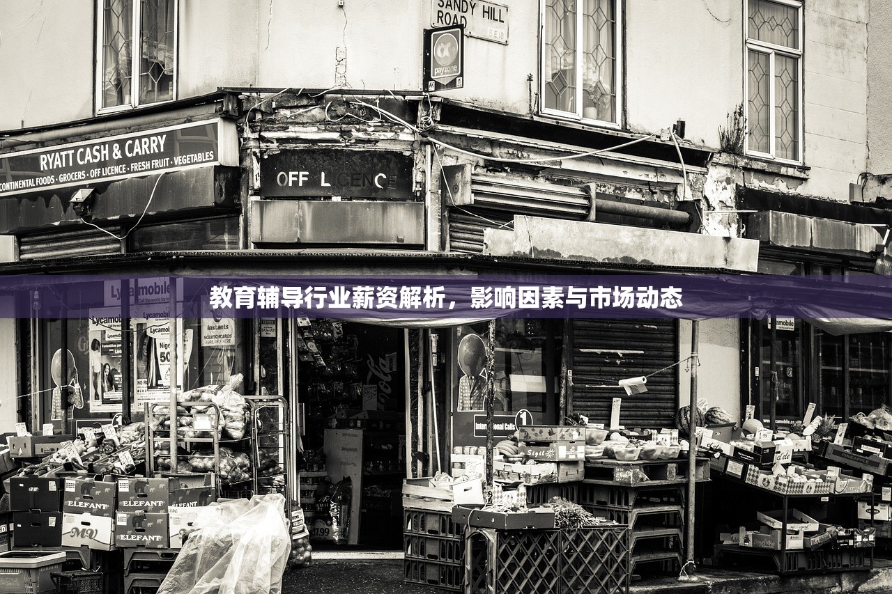 教育辅导行业薪资解析，影响因素与市场动态