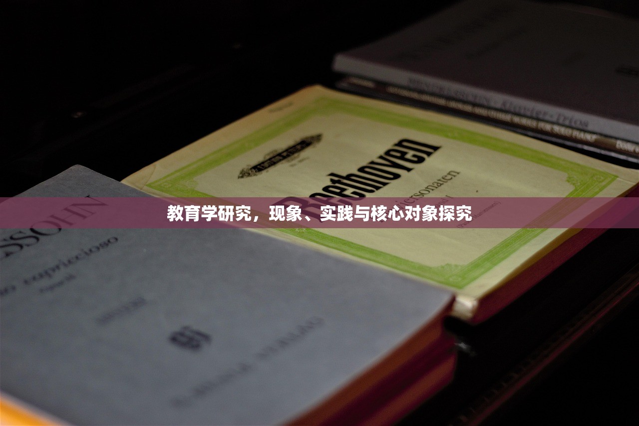 教育学研究，现象、实践与核心对象探究