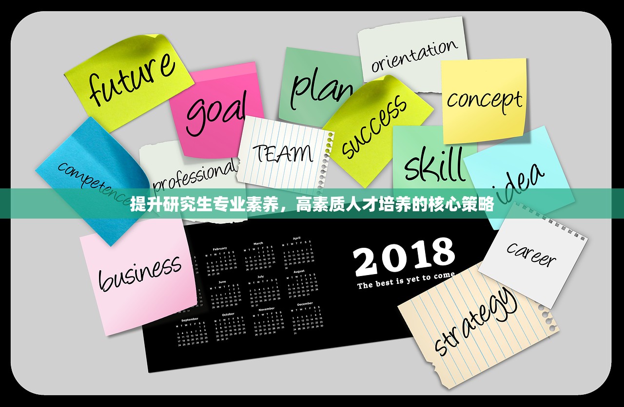 提升研究生专业素养，高素质人才培养的核心策略