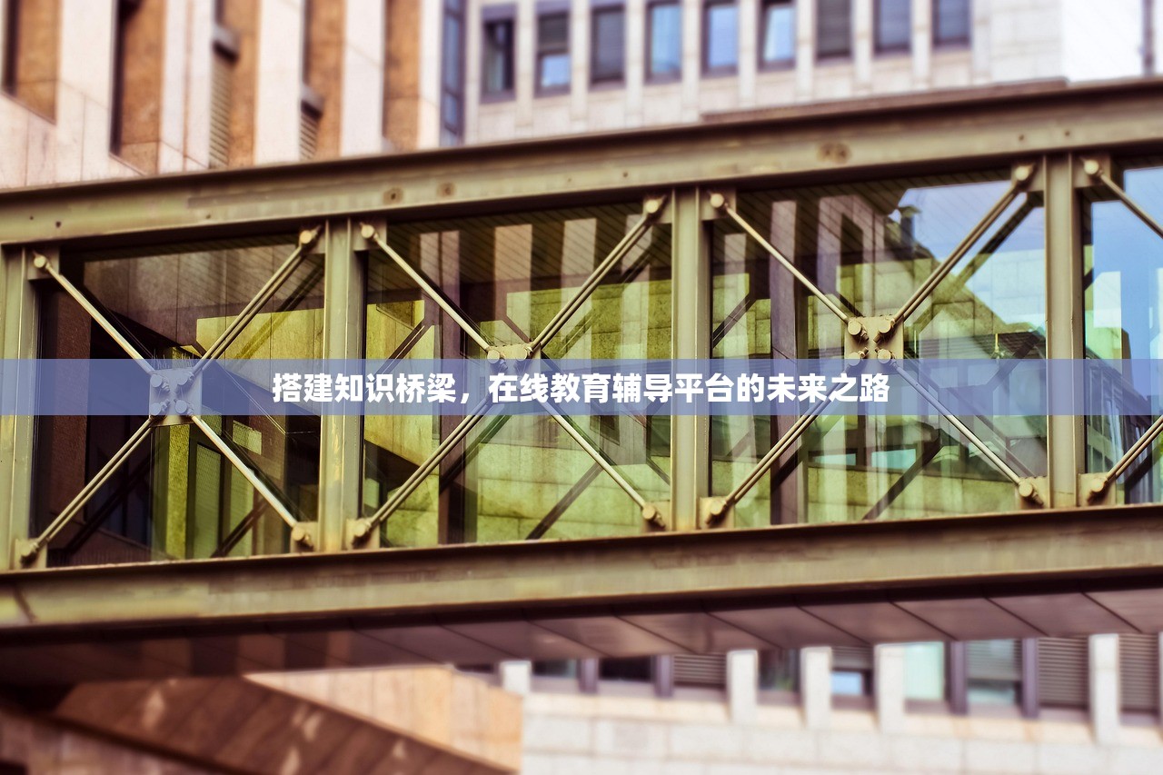 搭建知识桥梁，在线教育辅导平台的未来之路