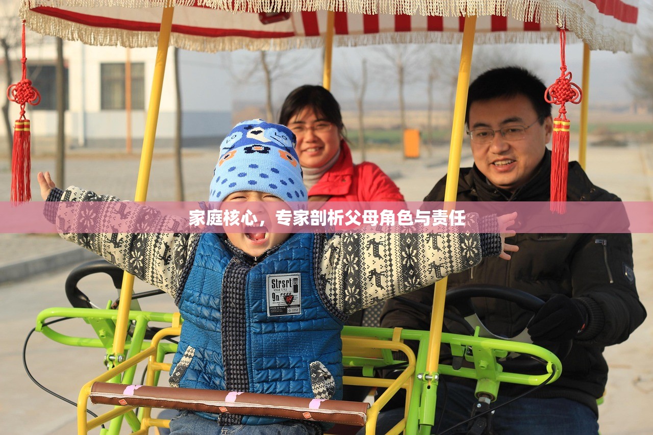 家庭核心，专家剖析父母角色与责任