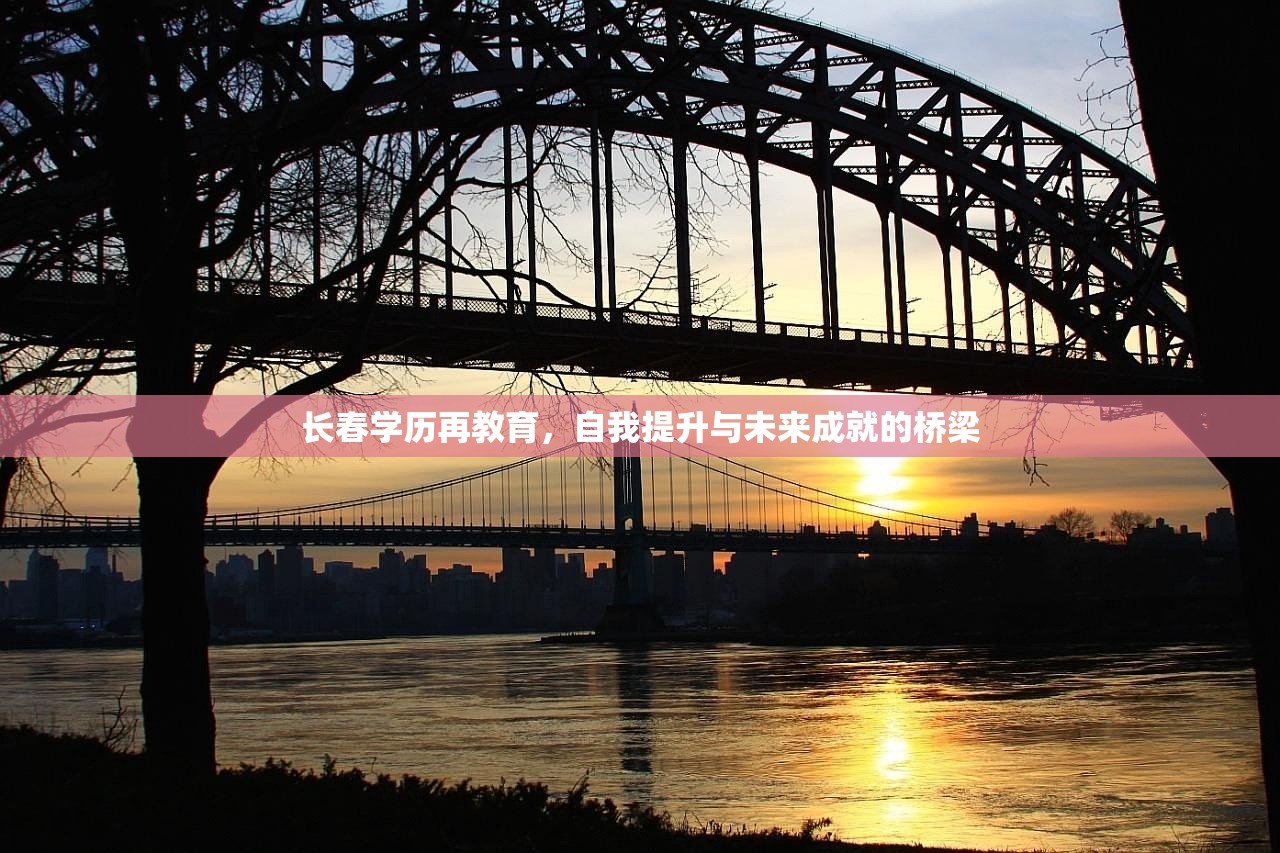 哈尔滨市教育研究院，教育创新的先锋，未来人才培养的摇篮