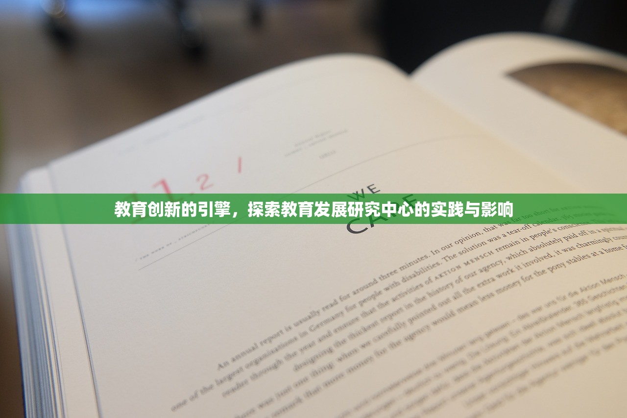 教育创新的引擎，探索教育发展研究中心的实践与影响