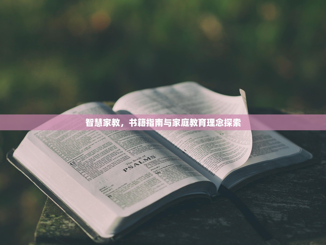 智慧家教，书籍指南与家庭教育理念探索
