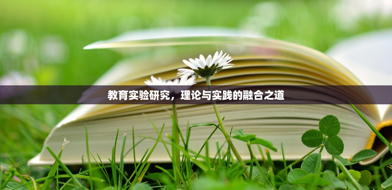 教育实验研究，理论与实践的融合之道