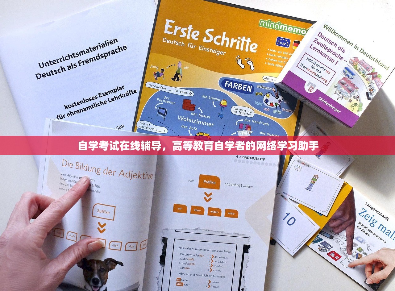自学考试在线辅导，高等教育自学者的网络学习助手