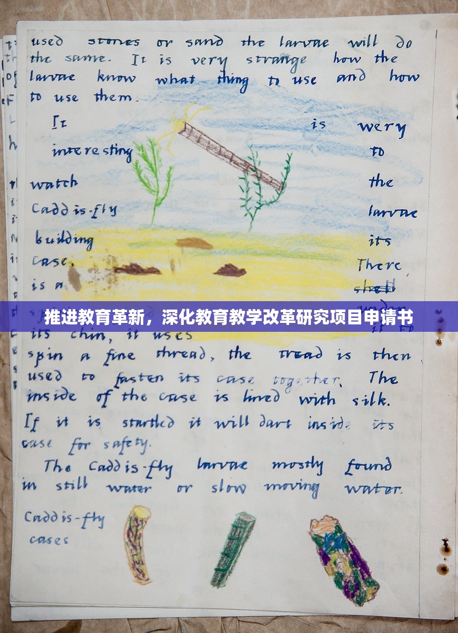 推进教育革新，深化教育教学改革研究项目申请书