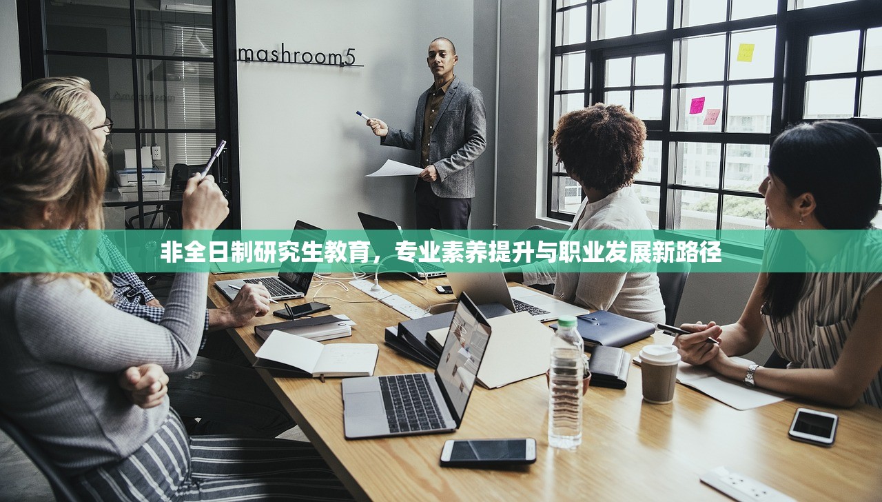 搭建梦想桥梁，考研教育辅导班的力量