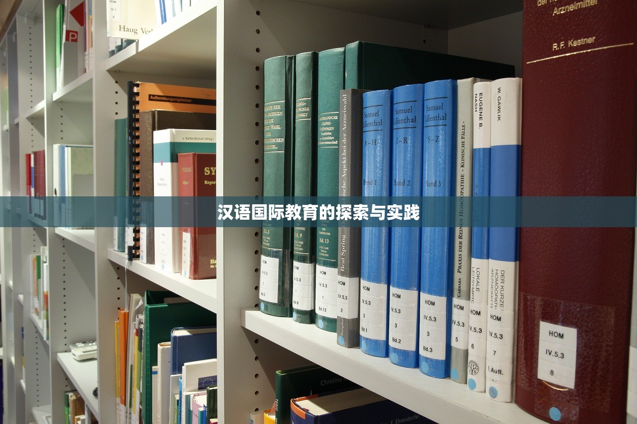 汉语国际教育的探索与实践