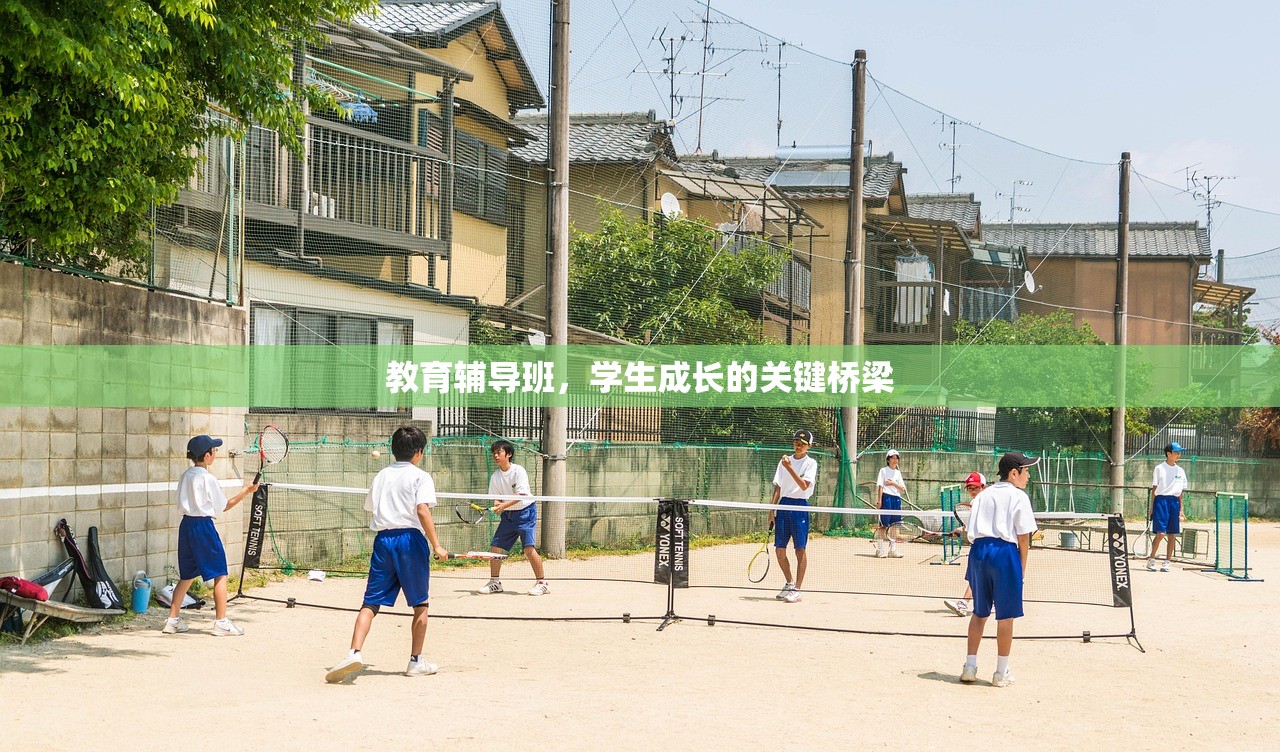教育辅导班，学生成长的关键桥梁