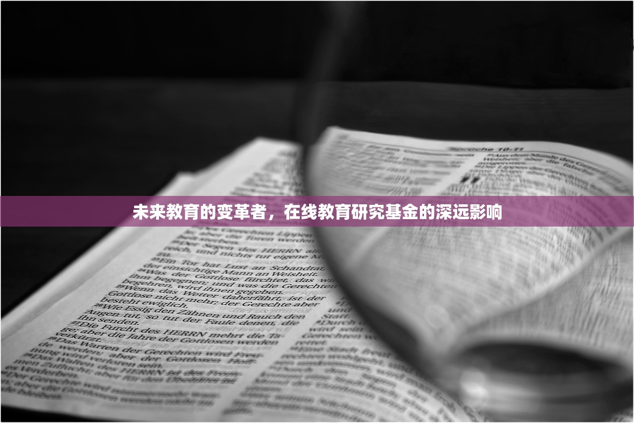未来教育的变革者，在线教育研究基金的深远影响