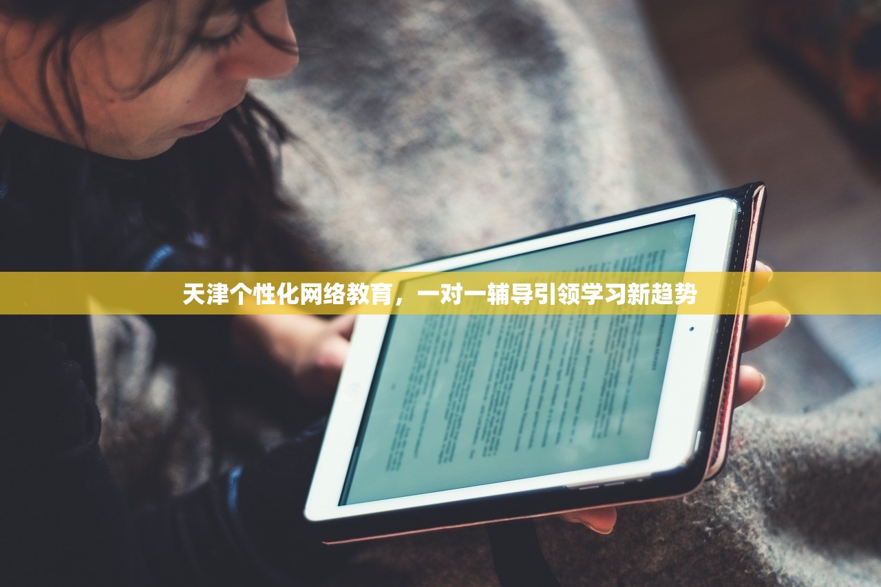 天津个性化网络教育，一对一辅导引领学习新趋势