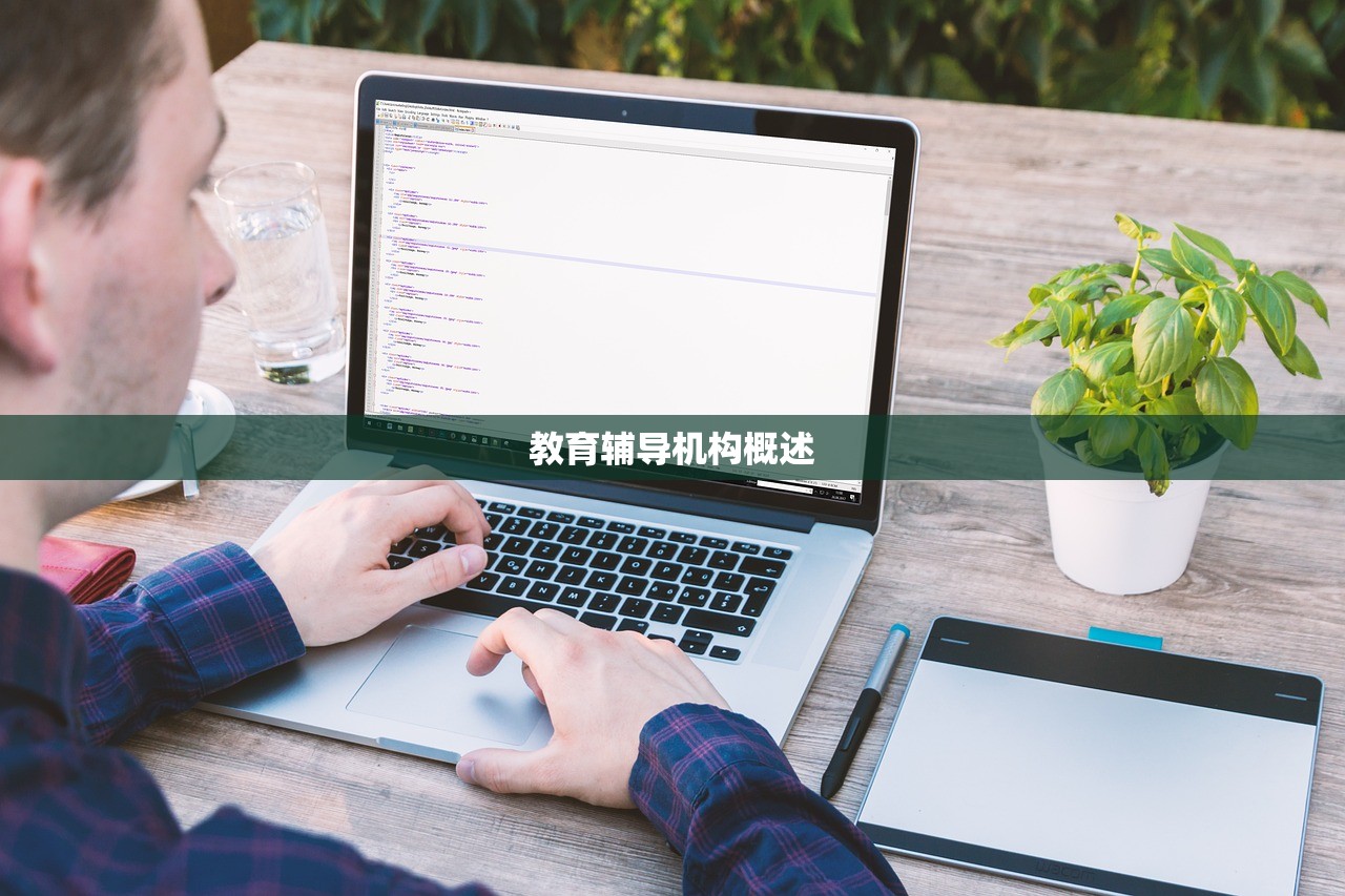 教育辅导机构概述