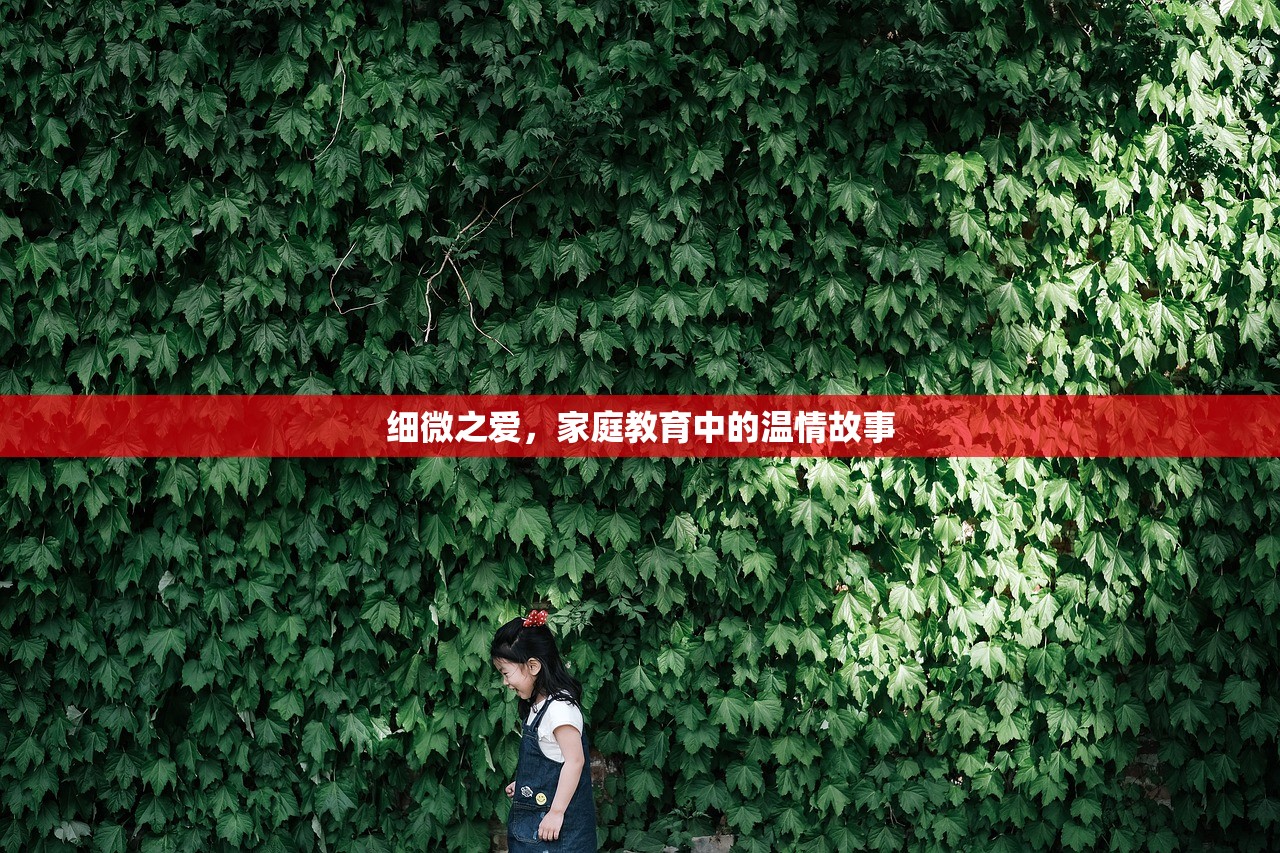 推进教育财政改革，实现教育公平与质量的双重飞跃