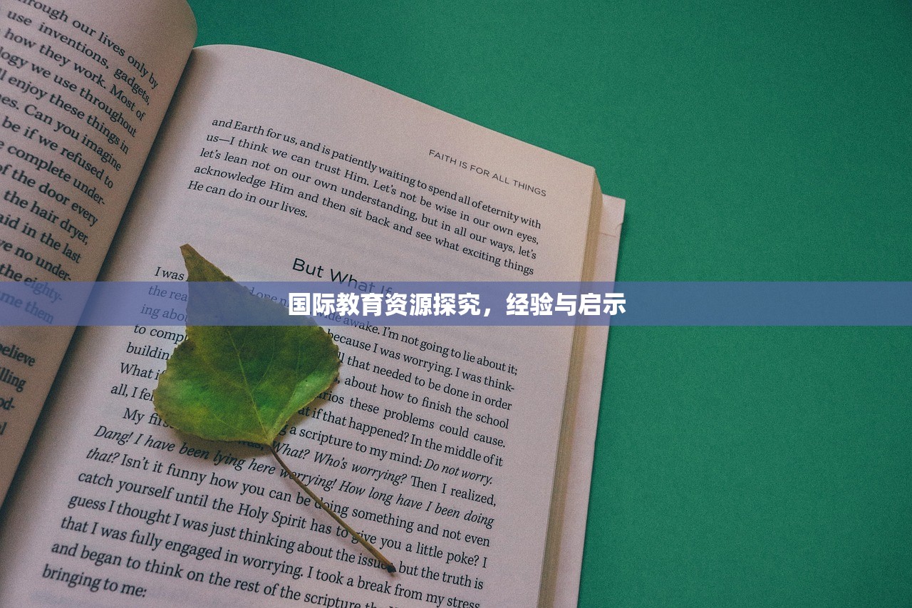 国际教育资源探究，经验与启示