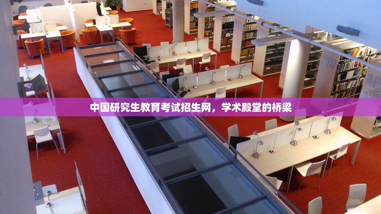 中国研究生教育考试招生网，学术殿堂的桥梁