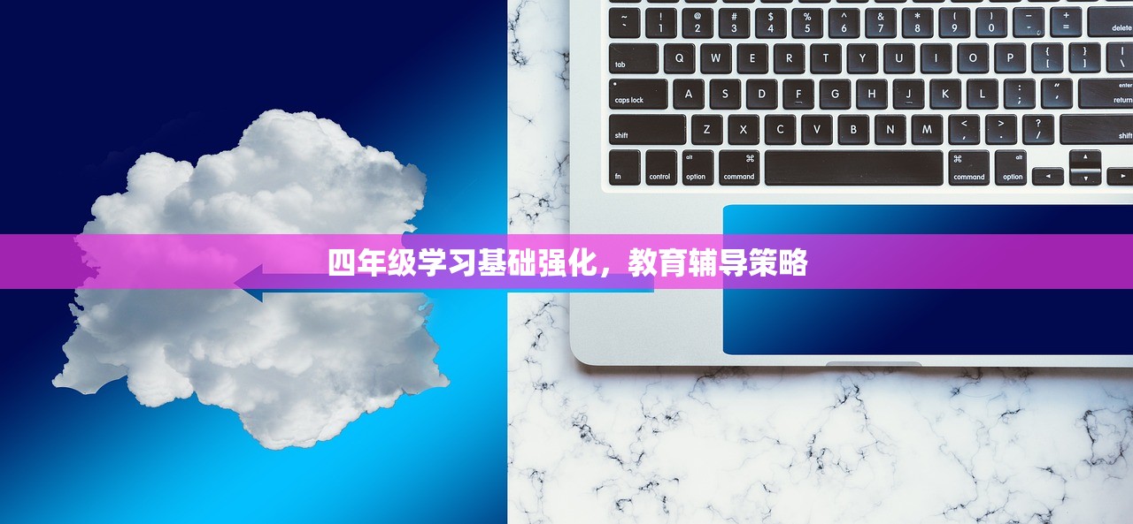 四年级学习基础强化，教育辅导策略