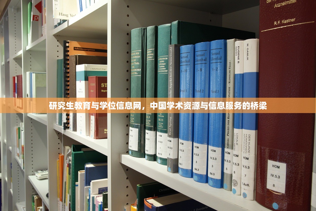 南京师范大学小学教育研究生项目，塑造未来教育领域的领导者