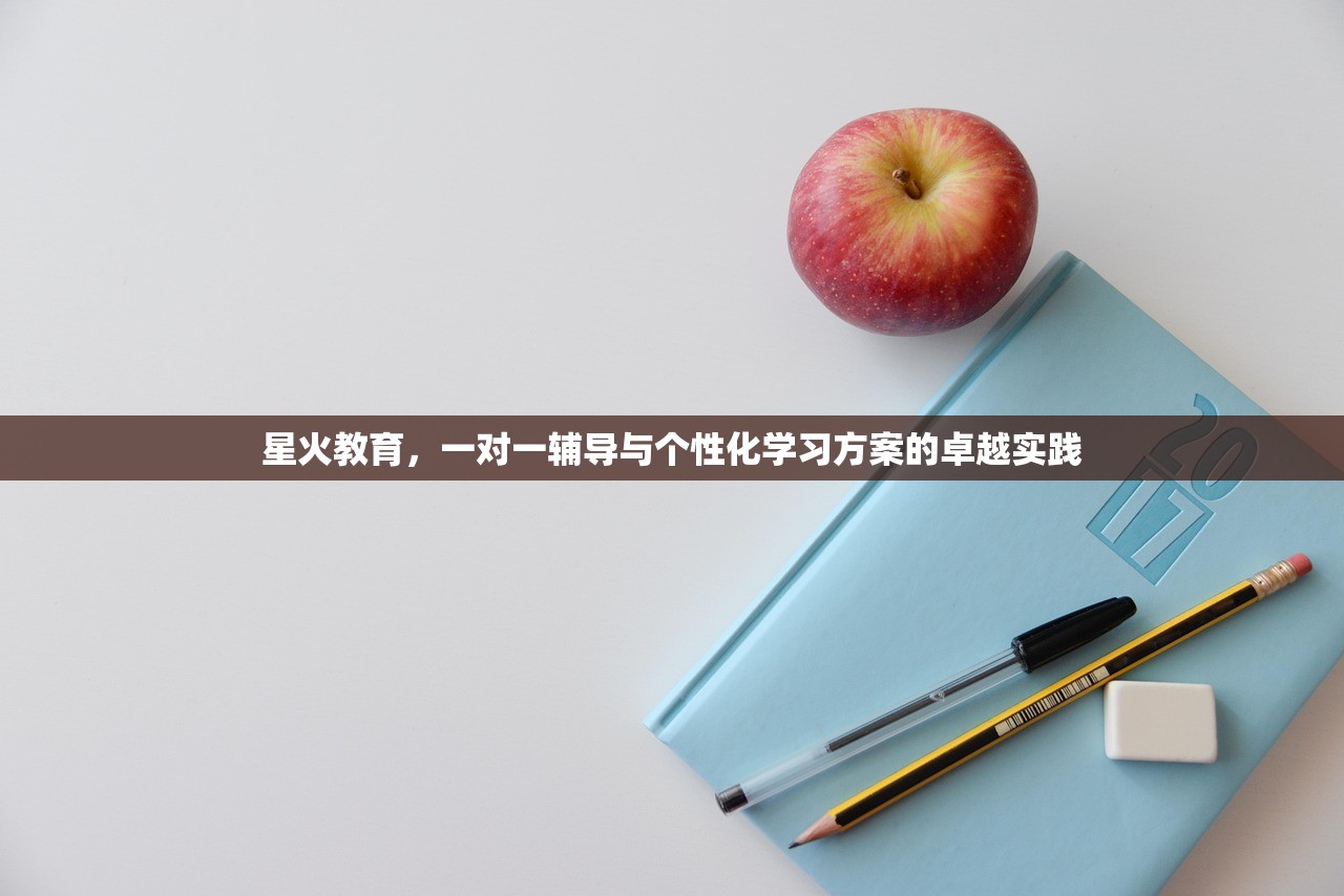 星火教育，一对一辅导与个性化学习方案的卓越实践