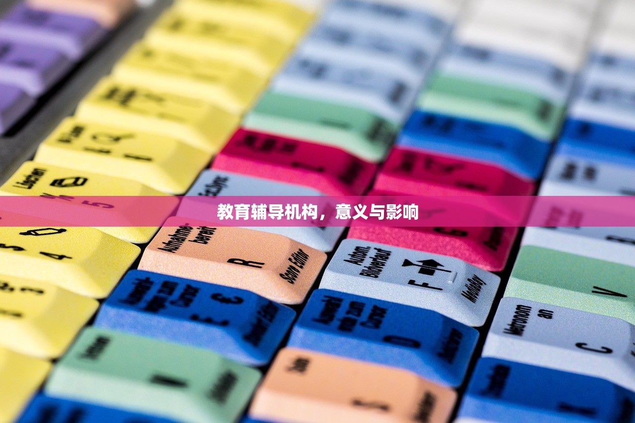 教育辅导机构，意义与影响