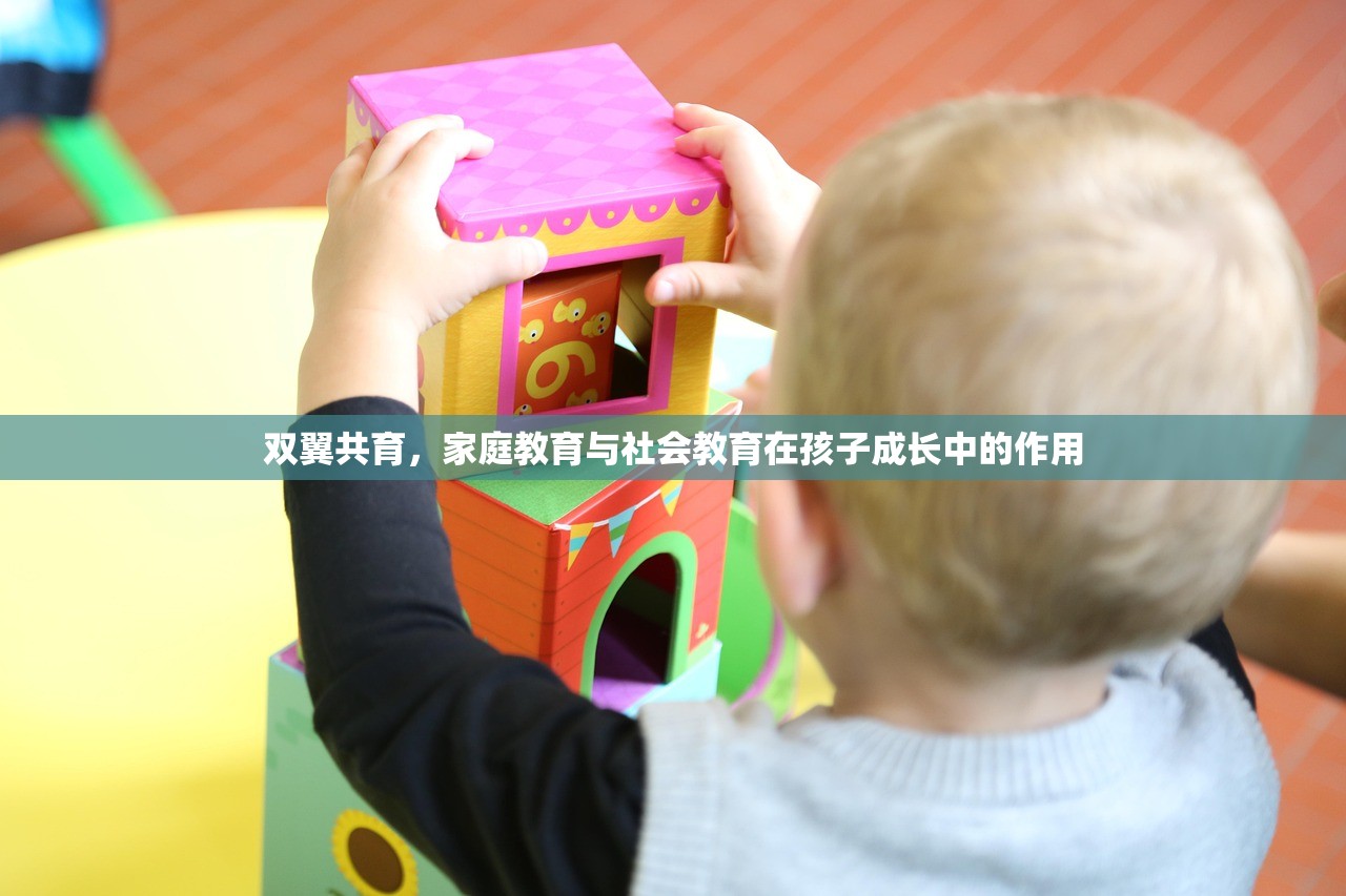 双翼共育，家庭教育与社会教育在孩子成长中的作用