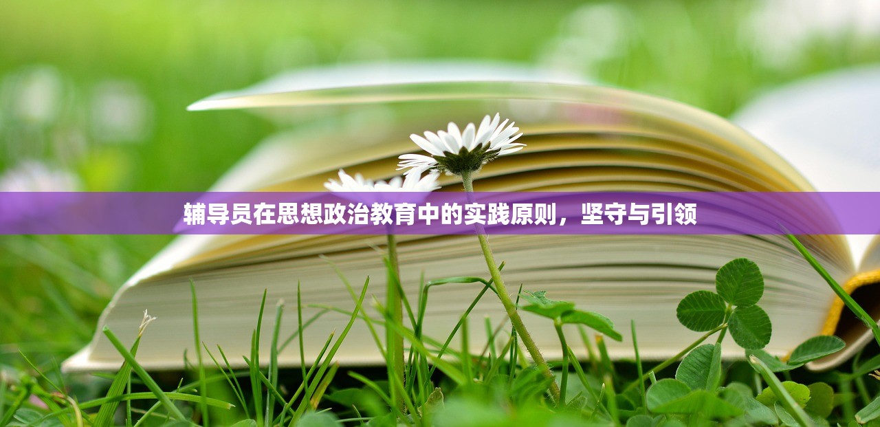 辅导员在思想政治教育中的实践原则，坚守与引领