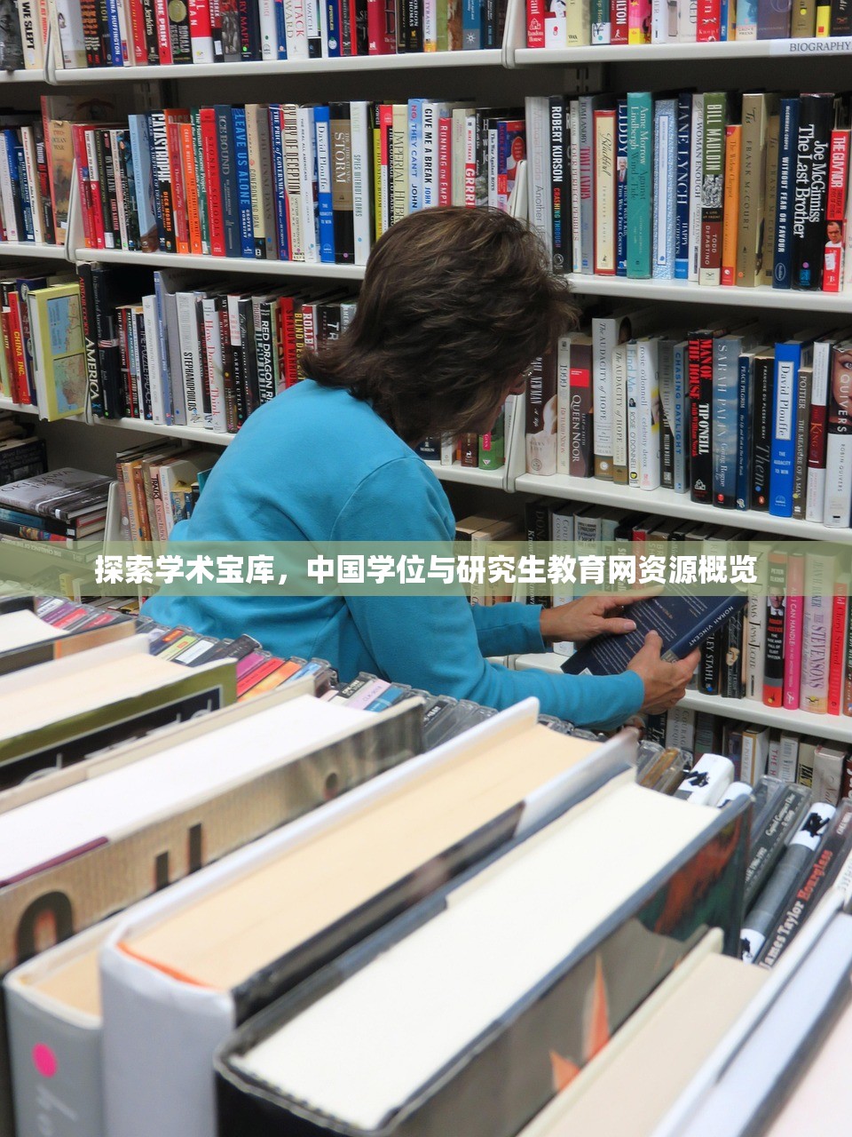 探索学术宝库，中国学位与研究生教育网资源概览
