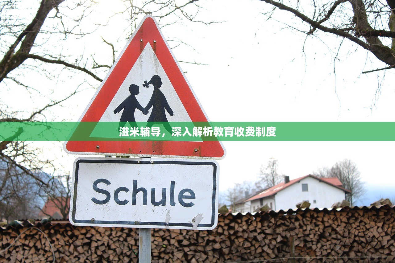 溢米辅导，深入解析教育收费制度