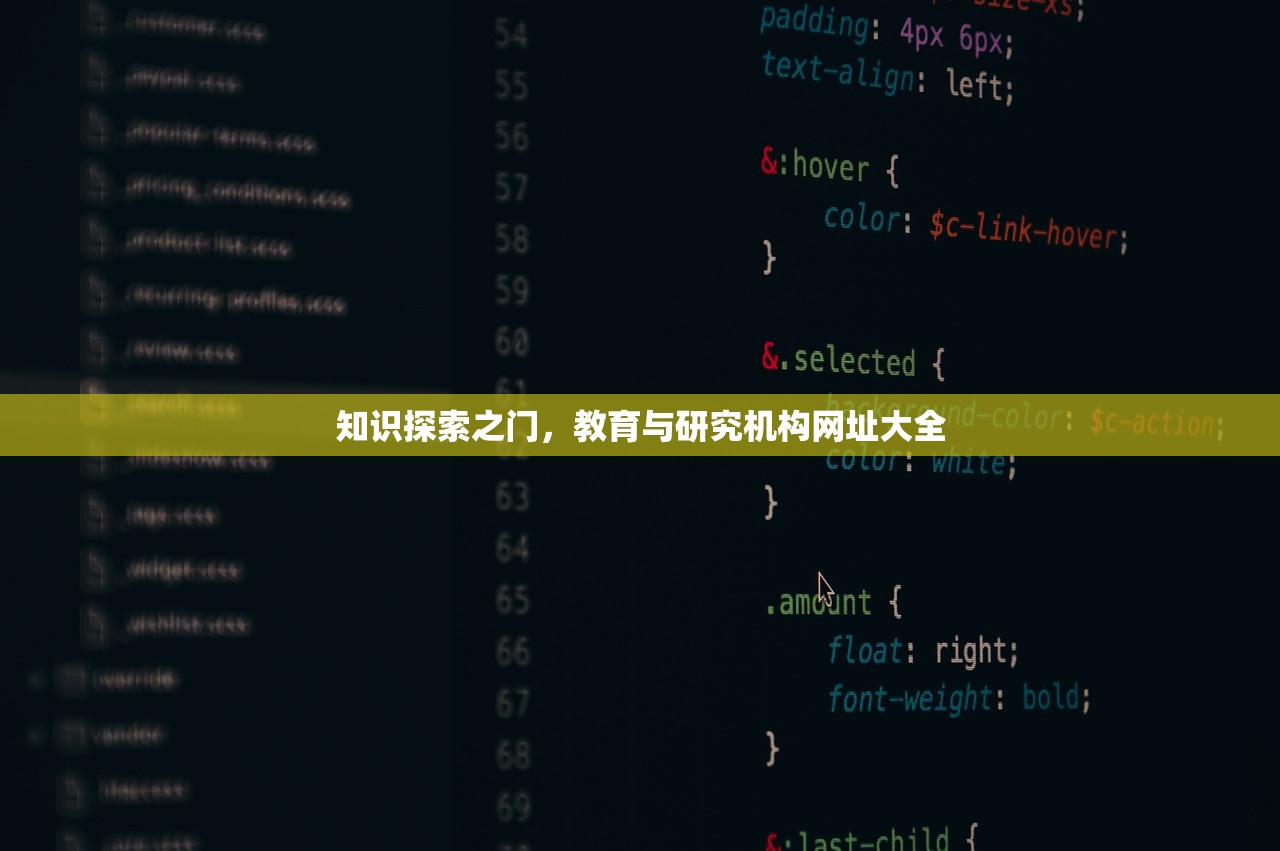 知识探索之门，教育与研究机构网址大全