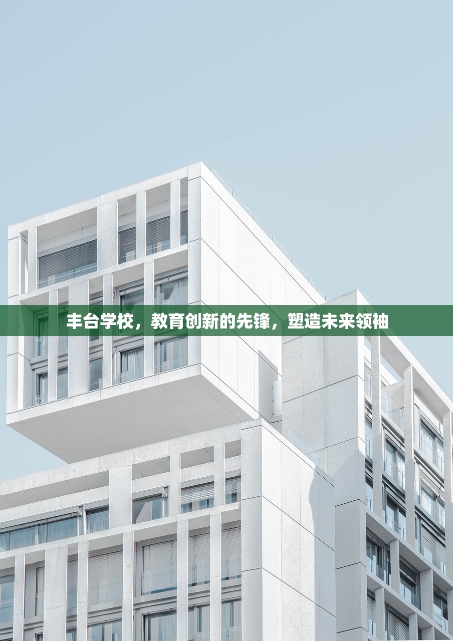 丰台学校，教育创新的先锋，塑造未来领袖