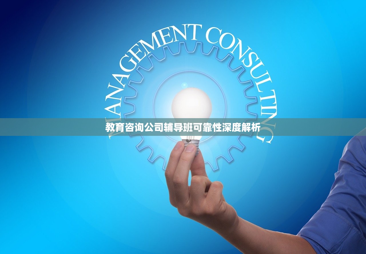 教育咨询公司辅导班可靠性深度解析
