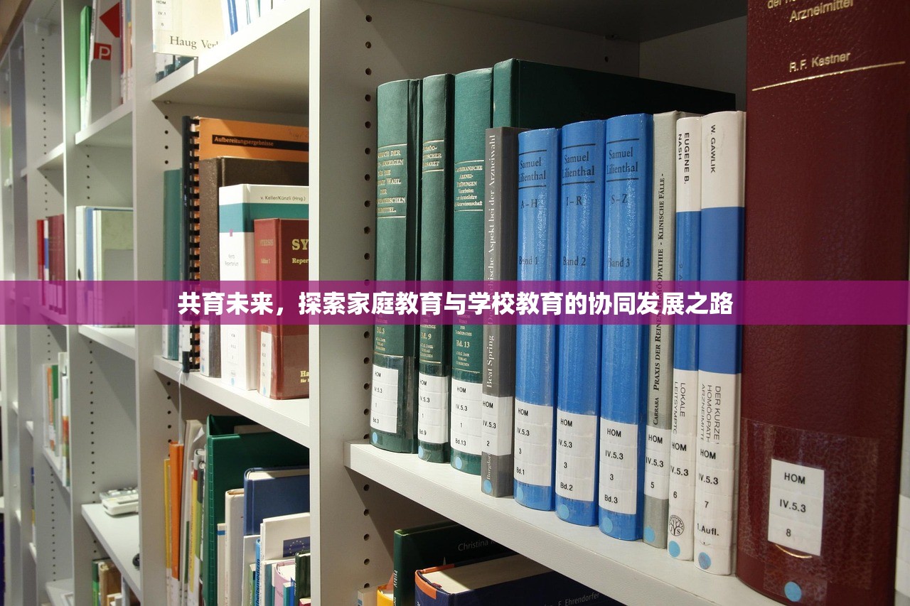 共育未来，探索家庭教育与学校教育的协同发展之路