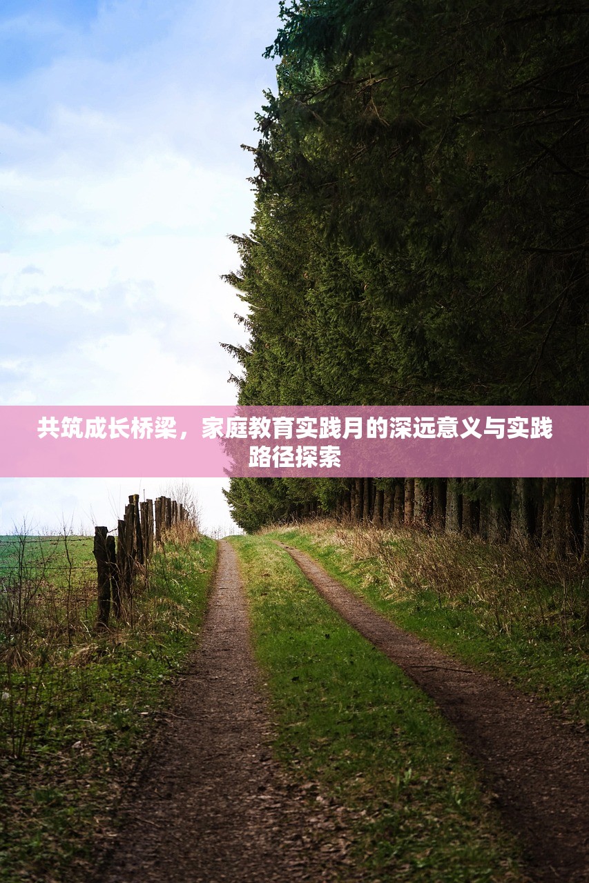 共筑成长桥梁，家庭教育实践月的深远意义与实践路径探索