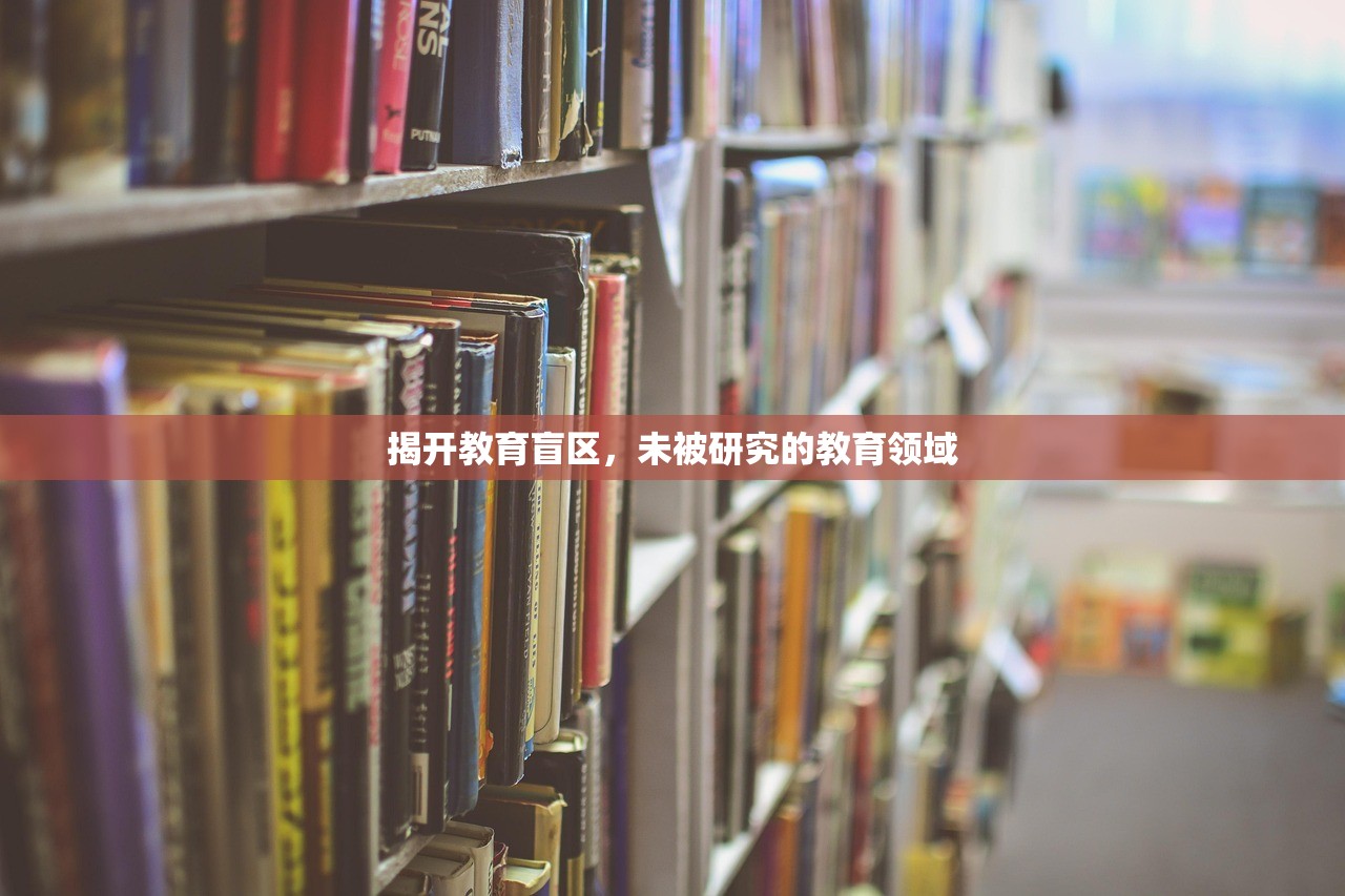 揭开教育盲区，未被研究的教育领域