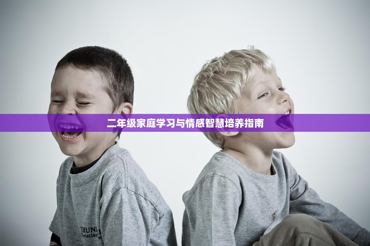 二年级家庭学习与情感智慧培养指南