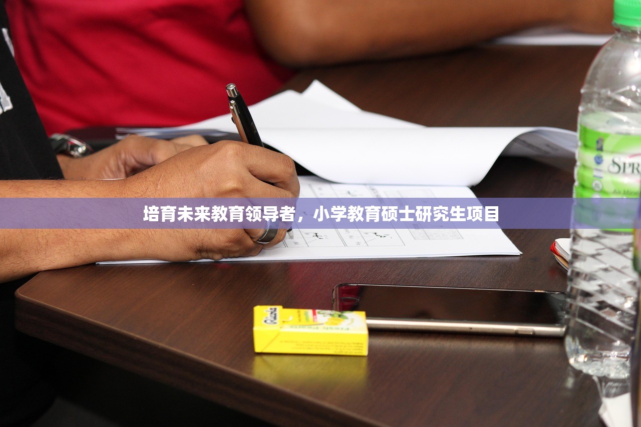 培育未来教育领导者，小学教育硕士研究生项目
