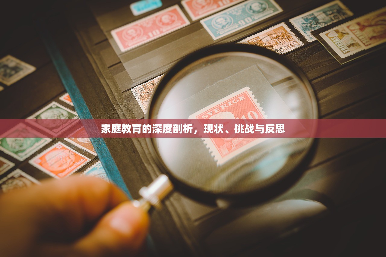 家庭教育的深度剖析，现状、挑战与反思