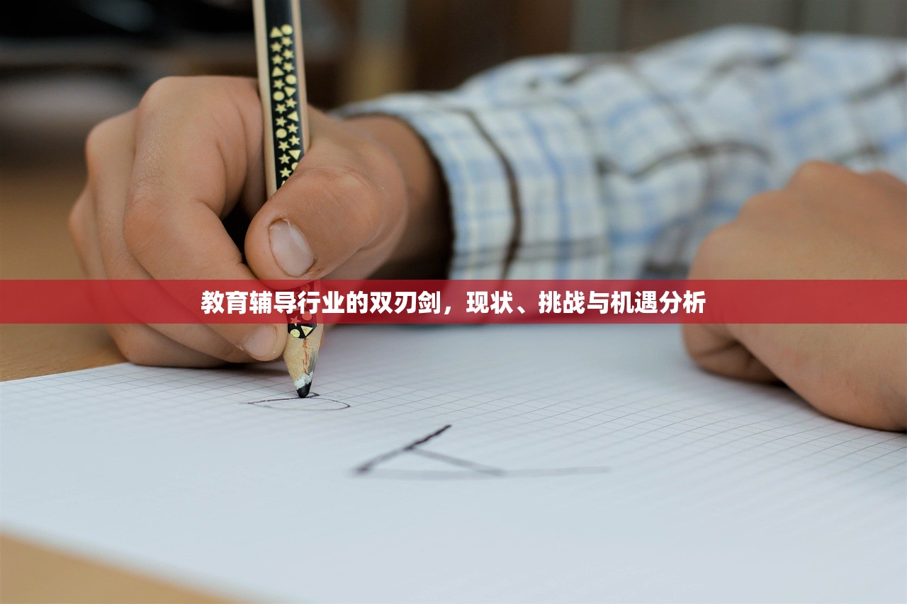 教育辅导行业的双刃剑，现状、挑战与机遇分析