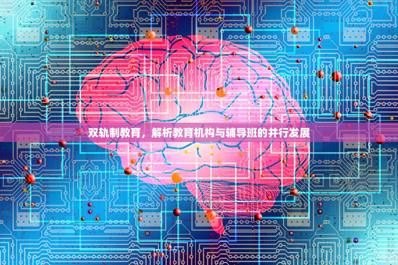 双轨制教育，解析教育机构与辅导班的并行发展