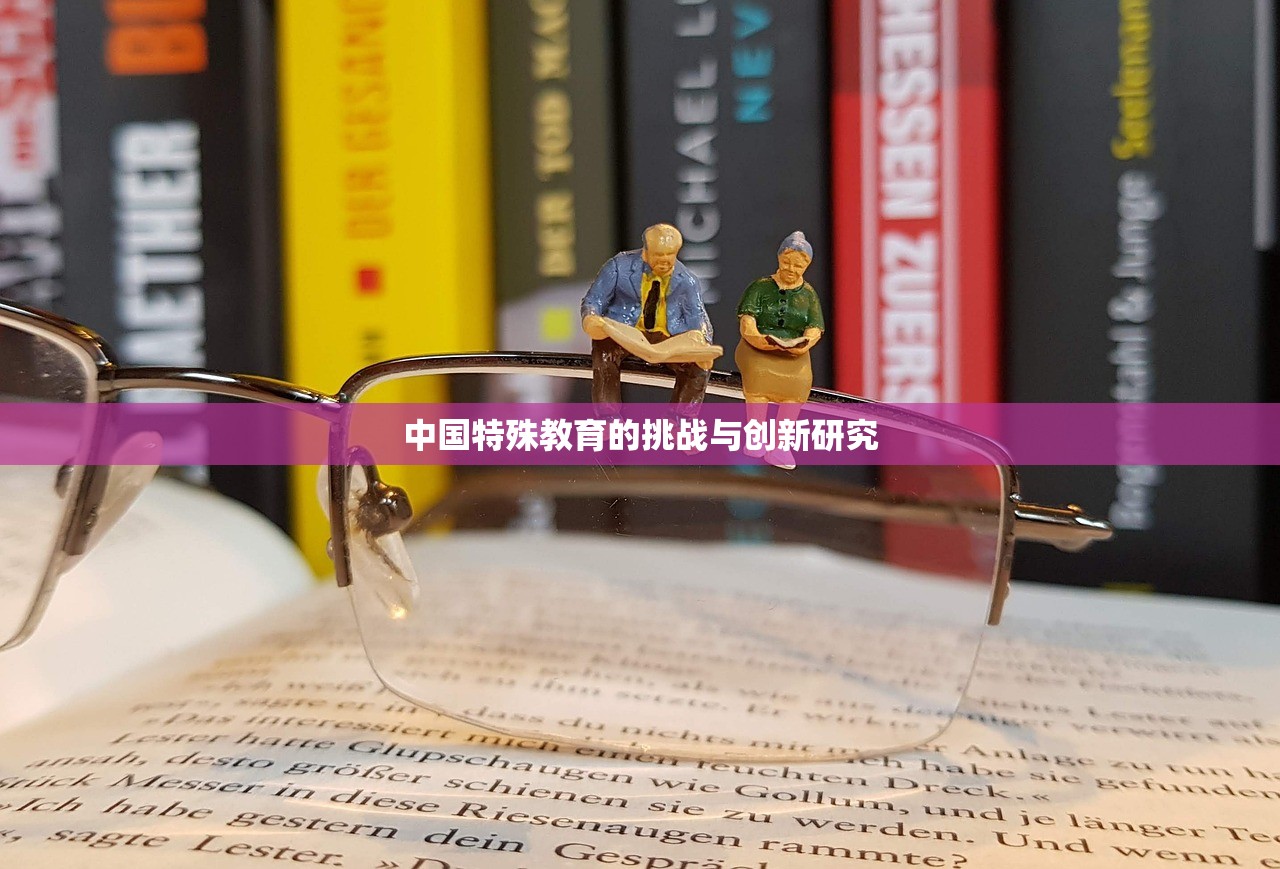 中国特殊教育的挑战与创新研究