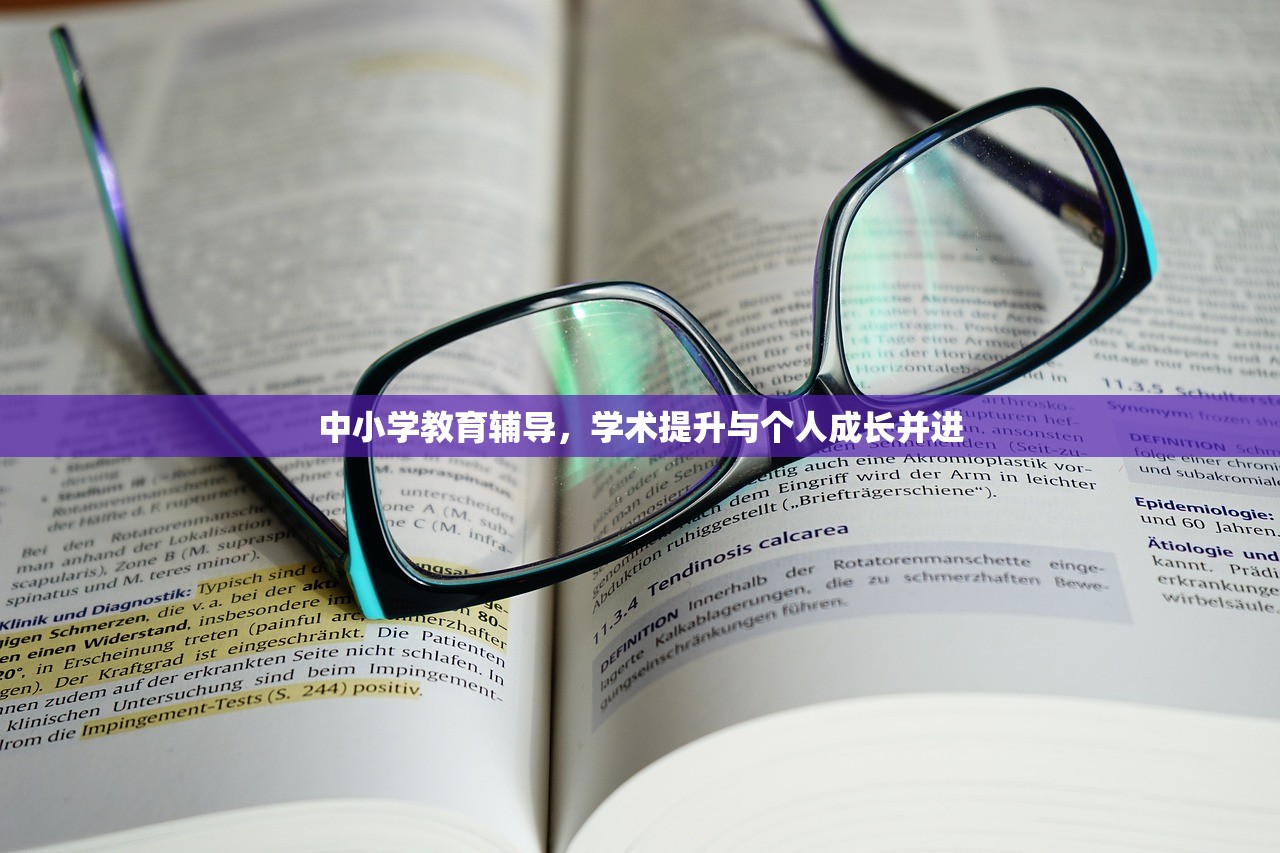 中小学教育辅导，学术提升与个人成长并进